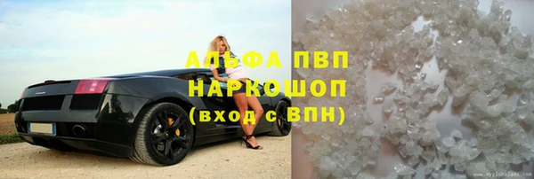 СК Михайлов