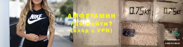 прущие грибы Мегион